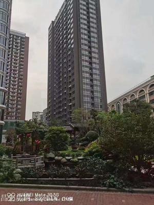5栋300户大浪【华府9号】集体大红本房精装现房通燃气 25号线地铁口500米分期10年