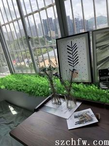 西乡三围【丰华阁】小产权房精装开售 有停车场 2房58.8万起 华胜实验学校旁